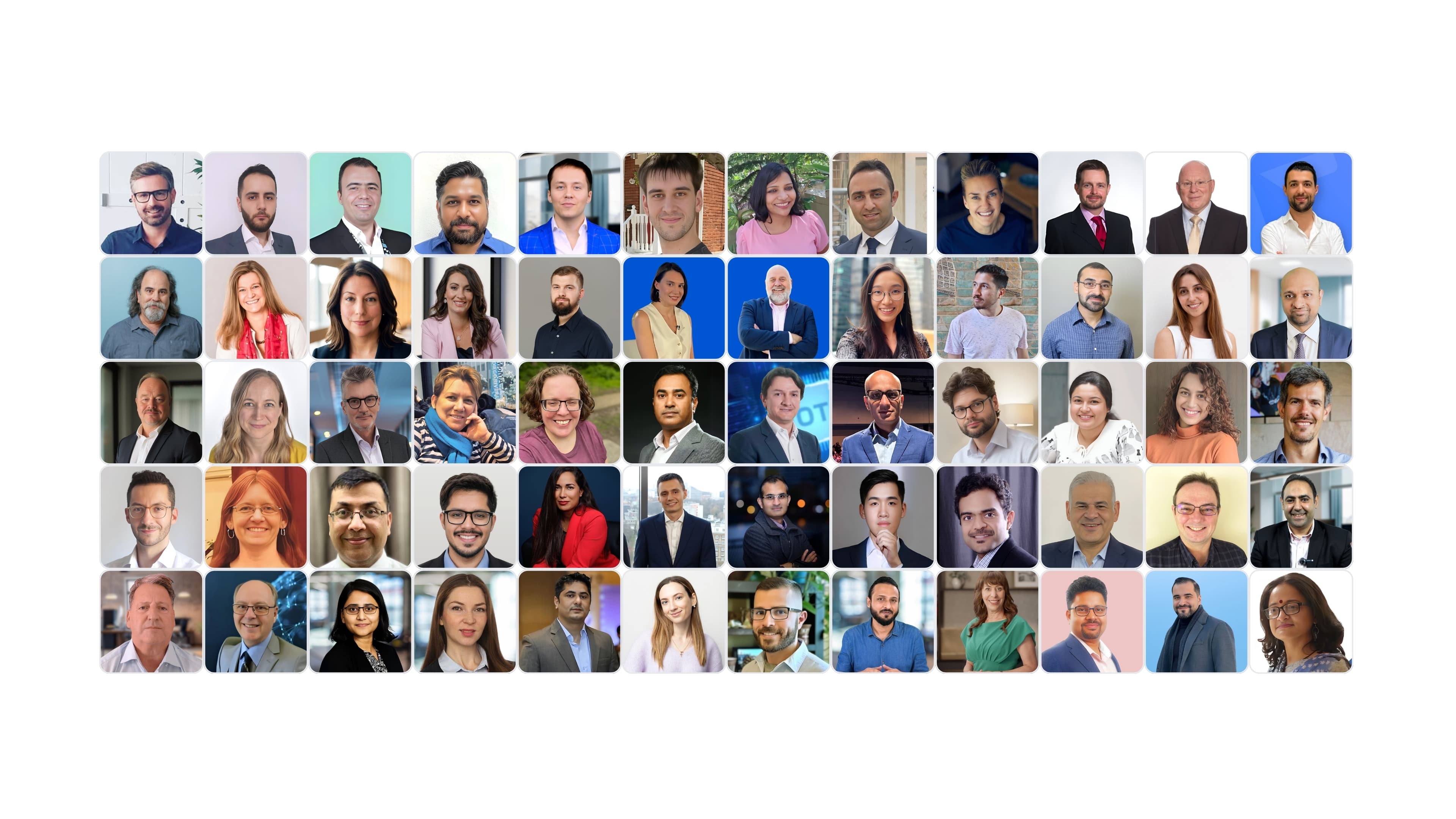 Meet Our Team